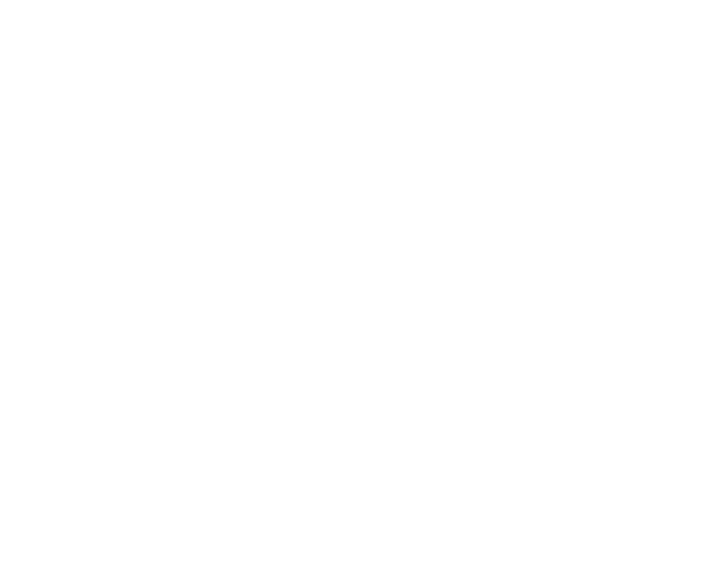 Brow Code Professional